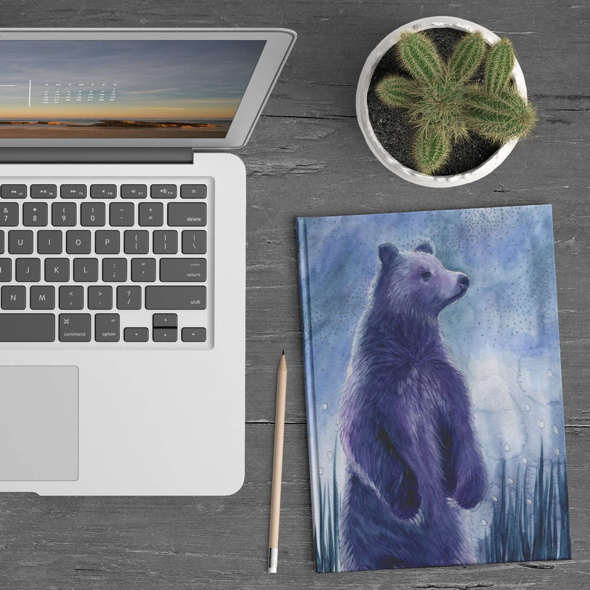 A laptop, a cactus in a pot, and a Celestial Bear Journal on a wooden desk.