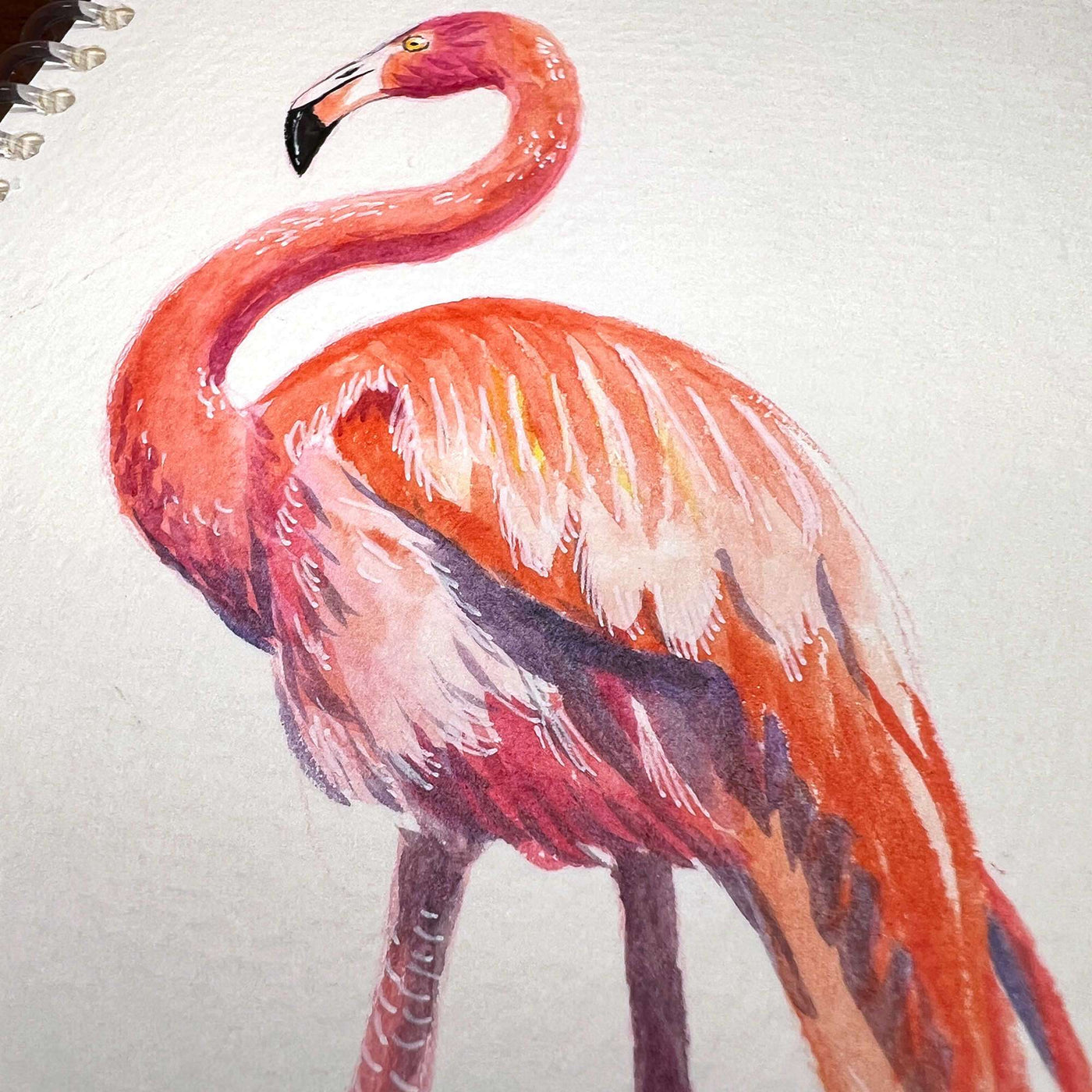 Detailed watercolor of a pink flamingo in a sketchbook.