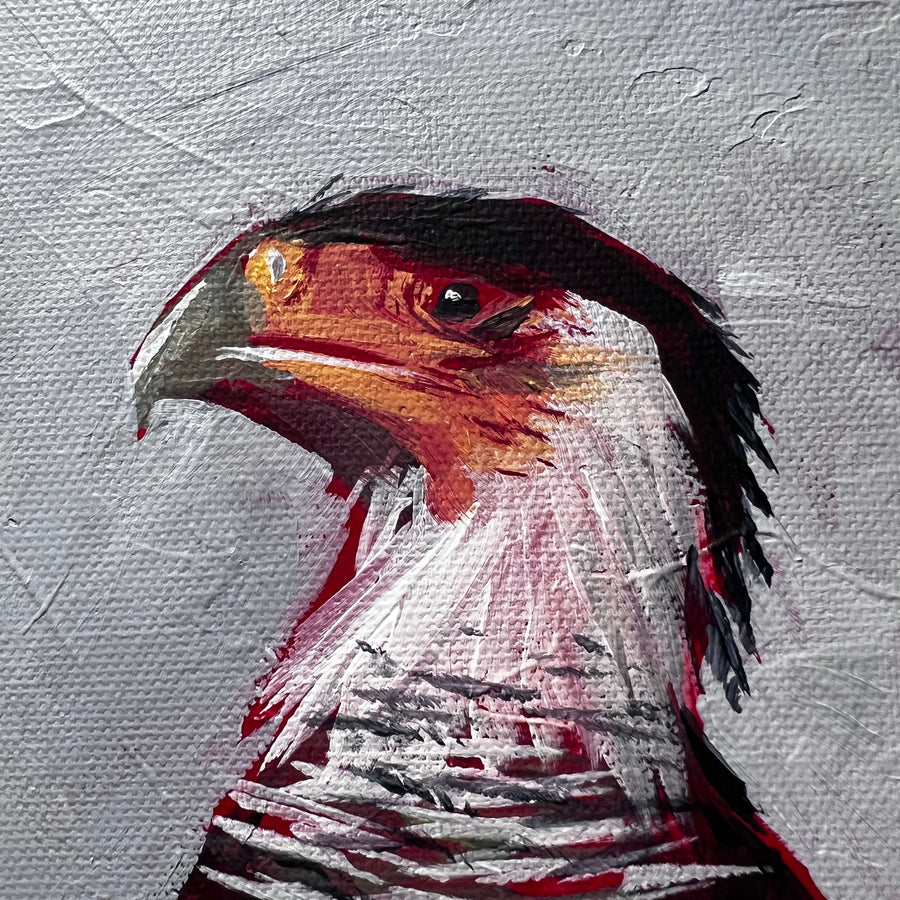 Close-up of a caracara bird's head in acrylic painting showcasing the detailed brushwork.