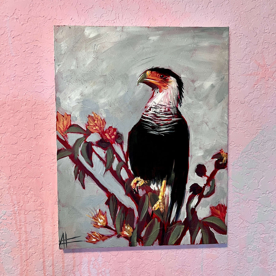 Mexican eagle, Caracara bird acrylic painting on canvas against a pink wall.