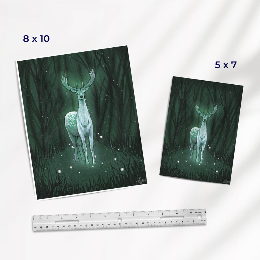 Prints of a celestial deer in a forest, shown in different sizes next to a ruler for scale.