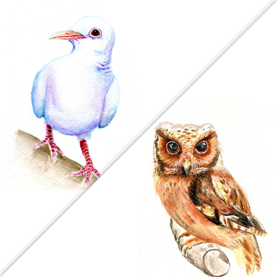 Watercolor paintings of a dove and an owl perched on branches with detailed feathers.
