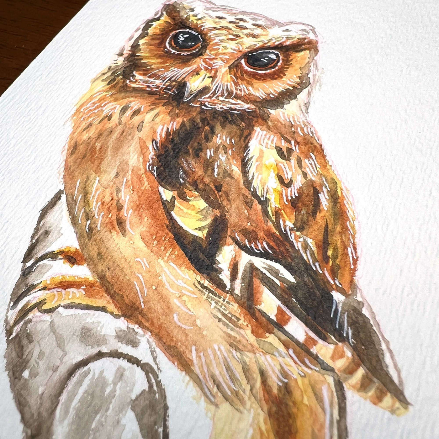 Close-up view of a watercolor owl painting showing the intricate detail of an owl's feathers and eyes.