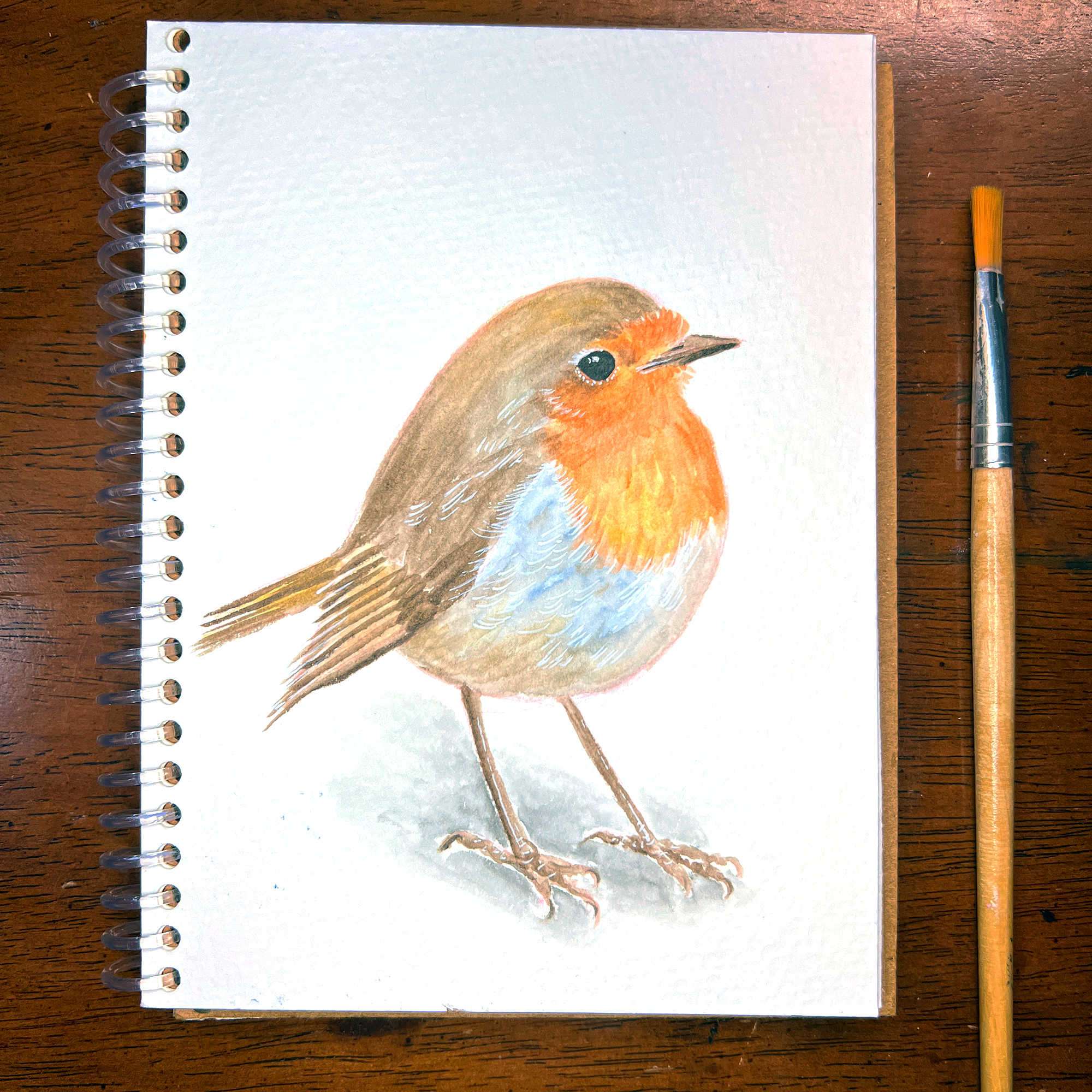 Watercolor robin sketch on a sketchbook beside a paintbrush on a wooden surface.