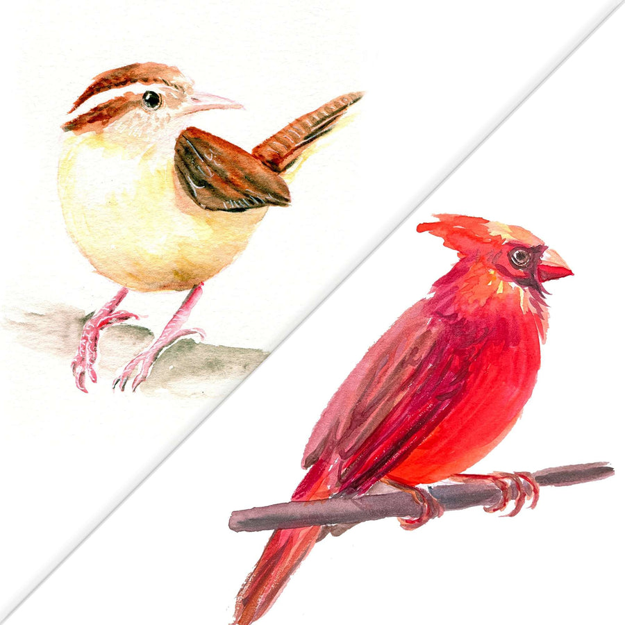 Watercolor painting of two birds, a beige finch and a vibrant red cardinal, perched and alert.