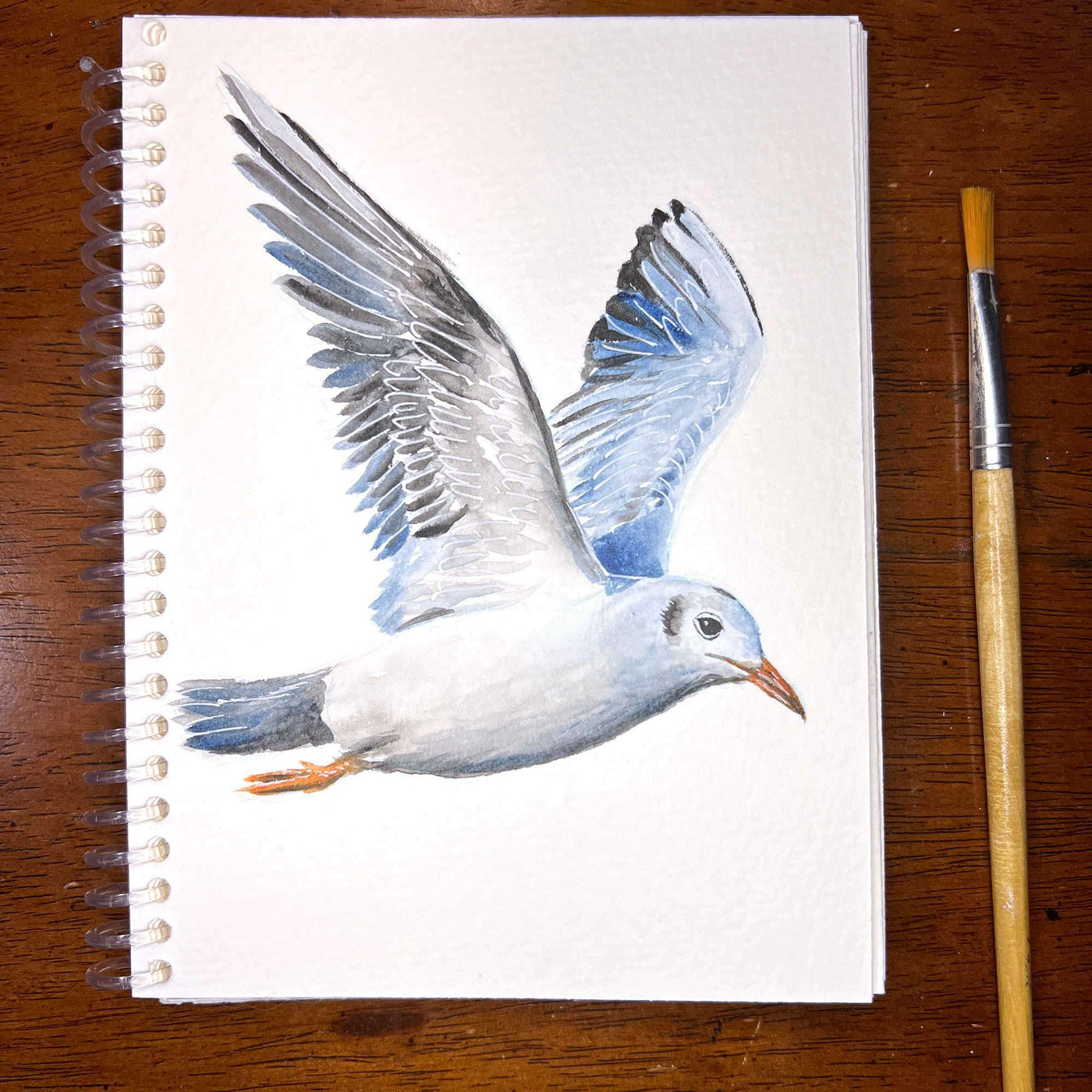 Watercolor sketch of a seagull with wings spread wide in mid-flight, full of dynamic movement.