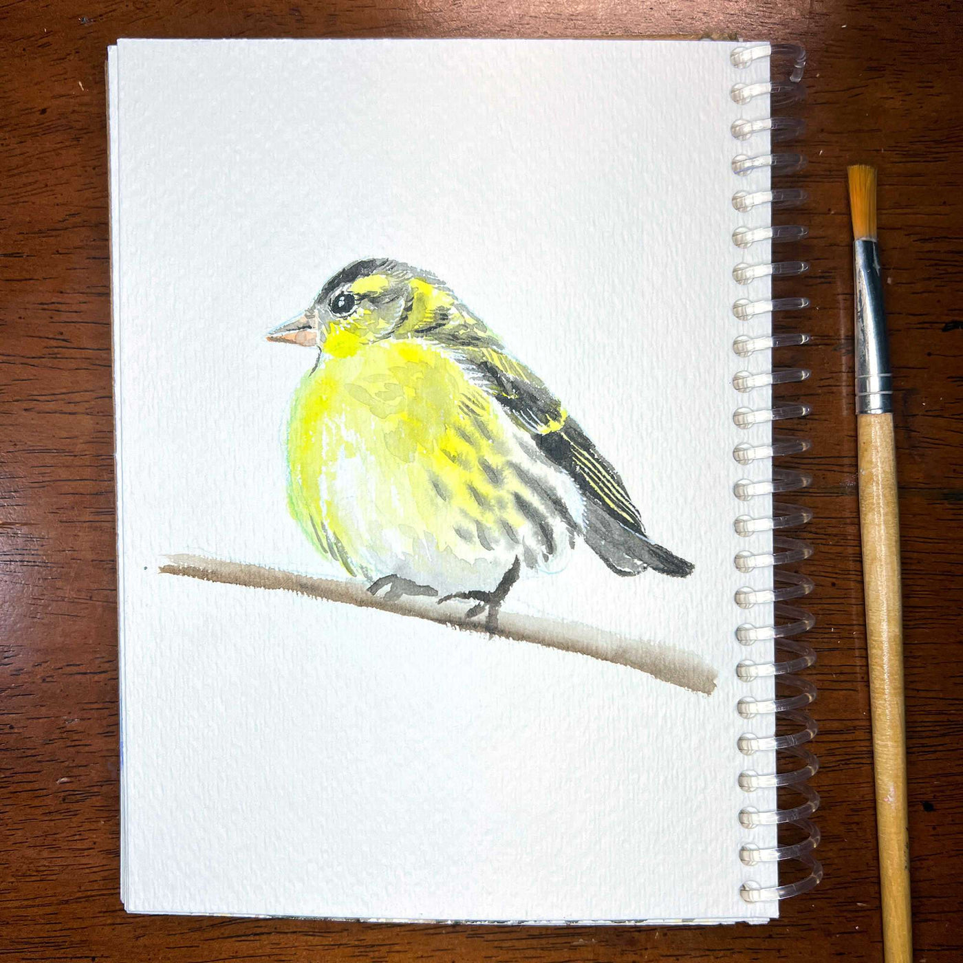 Watercolor sketch of a cheerful goldfinch on a sketchpad next to a paintbrush for size reference