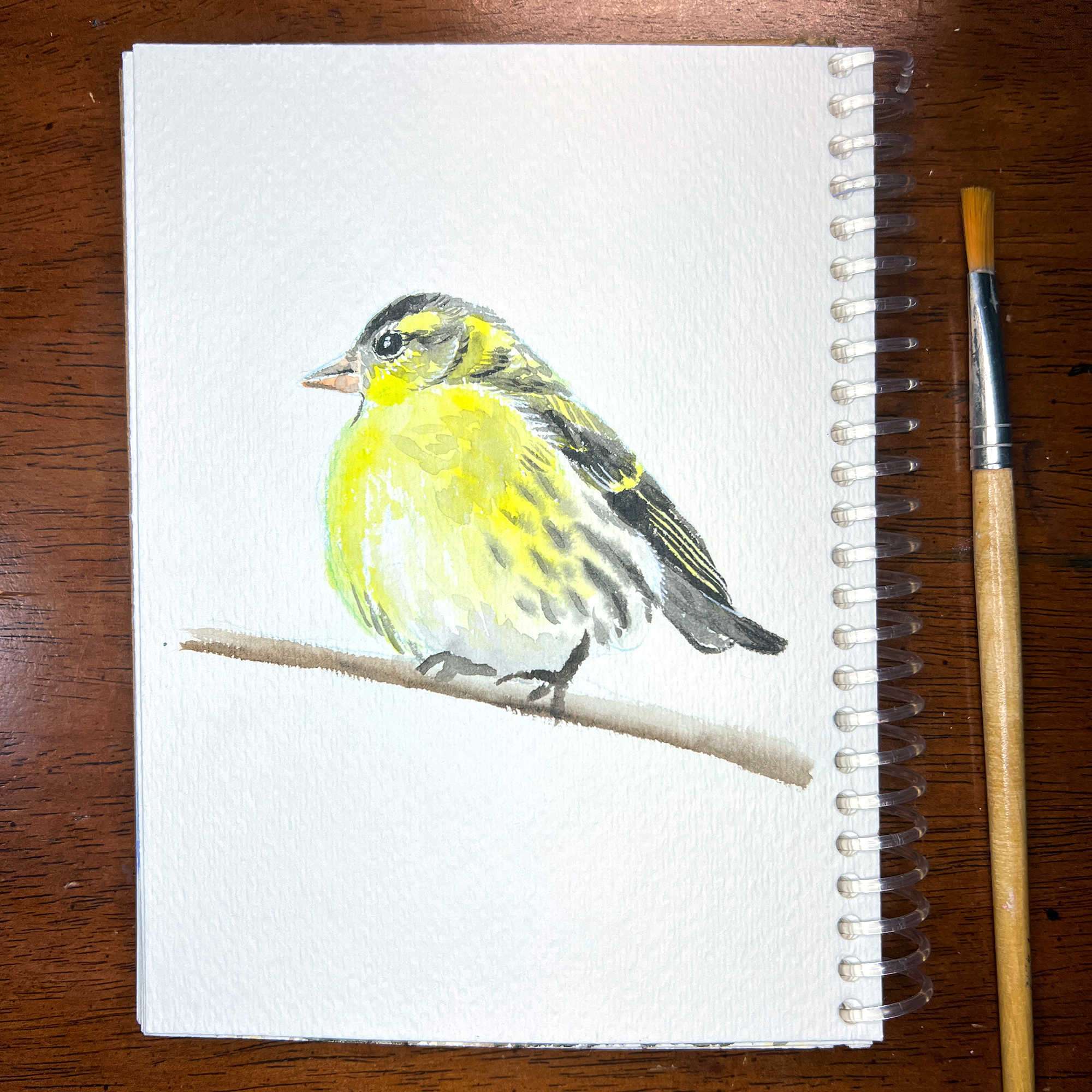 Watercolor sketch of a cheerful goldfinch on a sketchpad next to a paintbrush for size reference