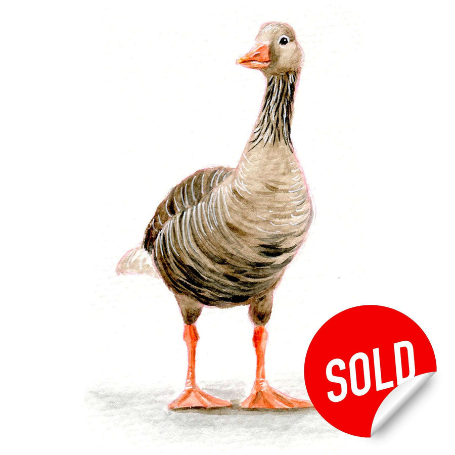 Watercolor painting of a standing goose, marked with a red "SOLD" sticker.