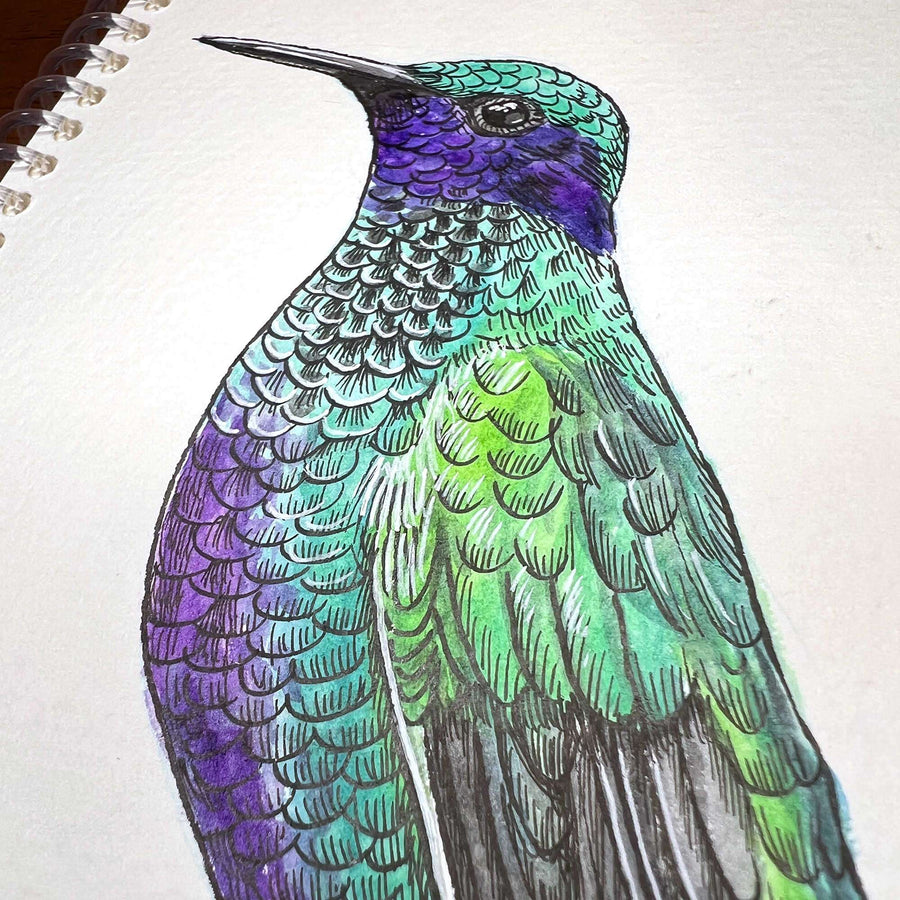 Detailed watercolor close-up of a colorful hummingbird.