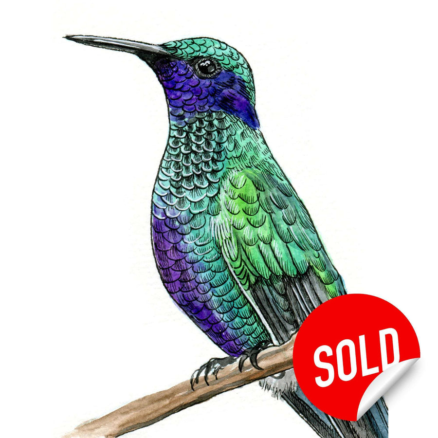 Vibrant watercolor of a hummingbird with a "SOLD" sticker.