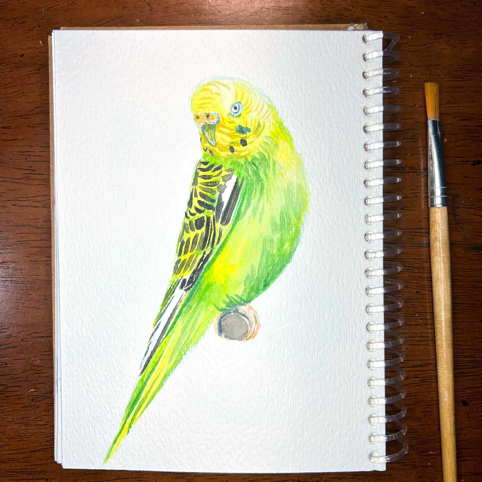 Watercolor sketch of a green parakeet on a spiral notebook.