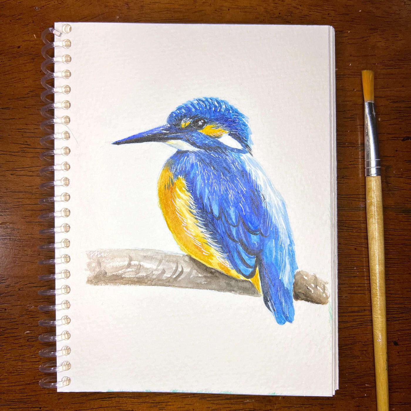 Watercolor sketch of a blue kingfisher on a spiral notebook.