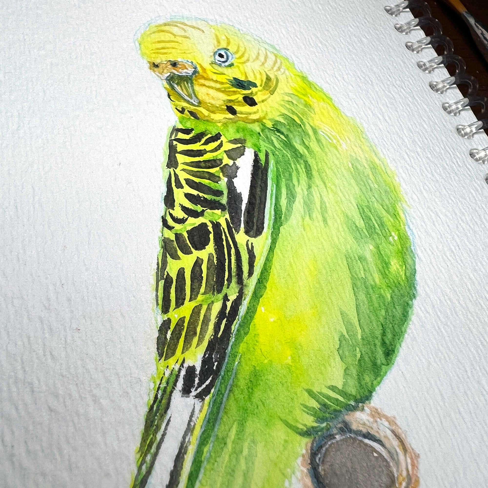 Close-up of a watercolor sketch of a green parakeet on a spiral notebook.