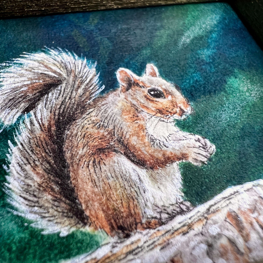 Close-up of a watercolor and pen squirrel painting showing fine fur details and soft shading.