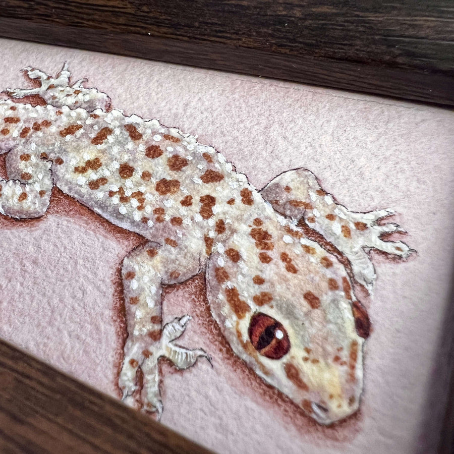 Close-up of gecko painting, emphasizing its spotted texture and watchful eyes.
