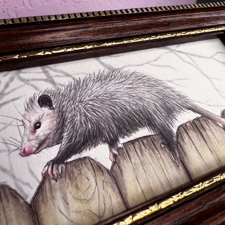 Detailed view of an opossum painting, emphasizing its fur texture and curious expression.