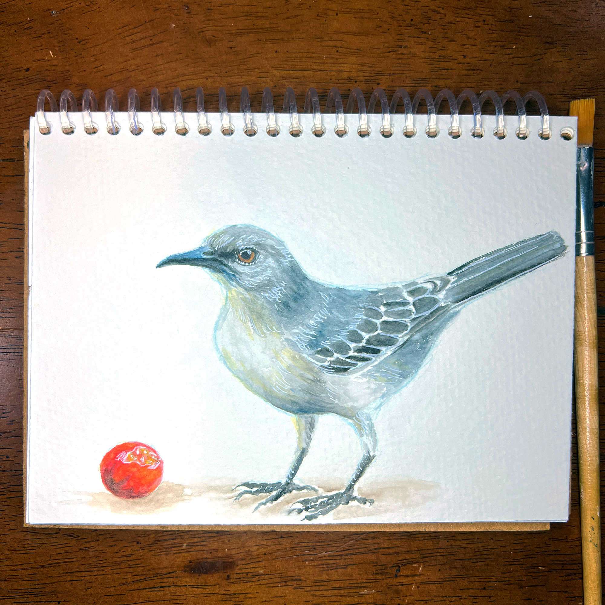 Mockingbird painting on a sketchpad beside a pencil, capturing its poised stance.