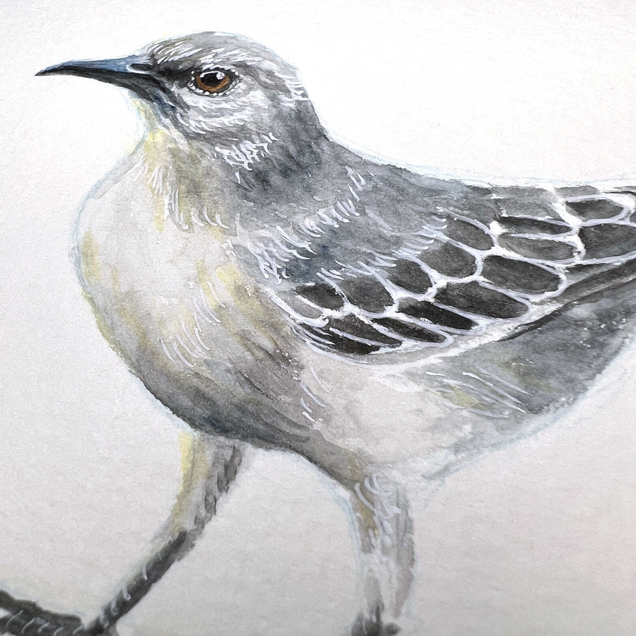 Detailed close-up of a mockingbird painting emphasizing its feather patterns and gaze.