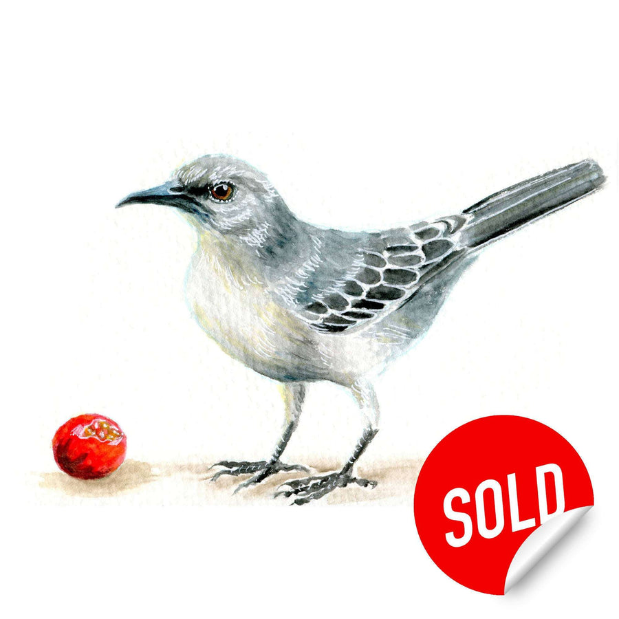 Painting of a mockingbird next to a red berry with a sold sticker on a white background.