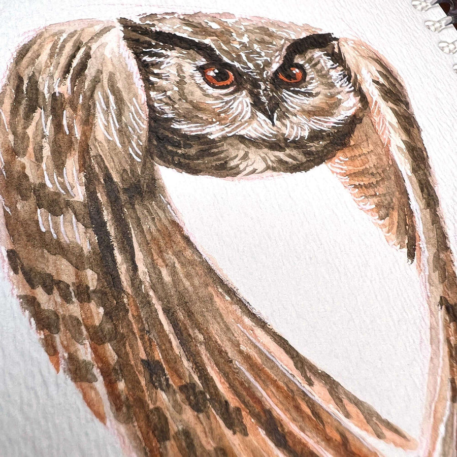 Owl/Rooster - Original Watercolor Painting of an owl in mid-flight, focusing on its detailed face and spread wings with textured brown and white feathers.