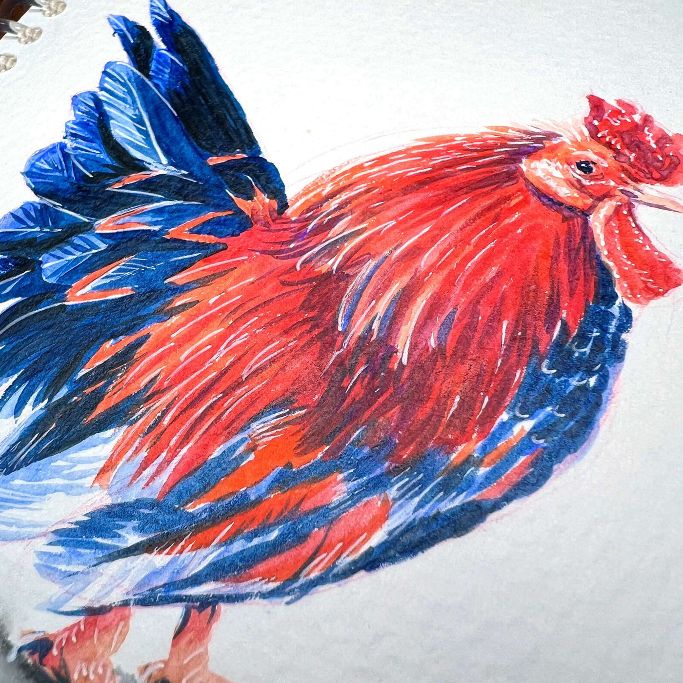 Owl/Rooster - Original Watercolor Painting of a vibrant red and blue rooster, showcasing detailed brush strokes on textured paper.