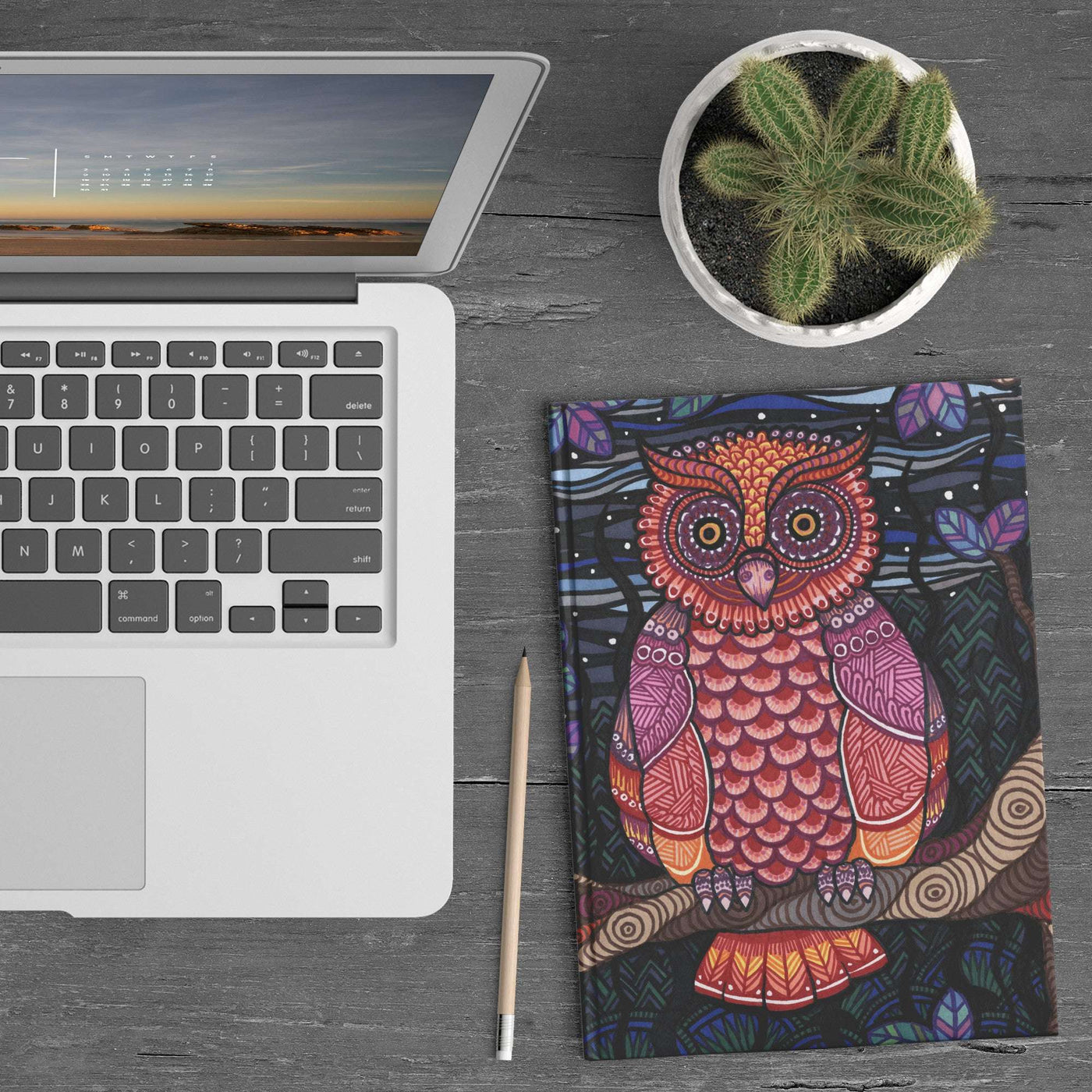 A laptop, an Owl Tree Journal, a pencil, and a potted cactus on a wooden desk.