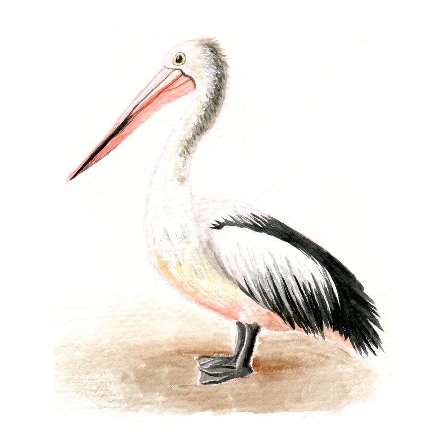 Pelican - Original Watercolor Painting features a pelican standing, with a prominent pink and black bill and a blend of white and gray feathers.