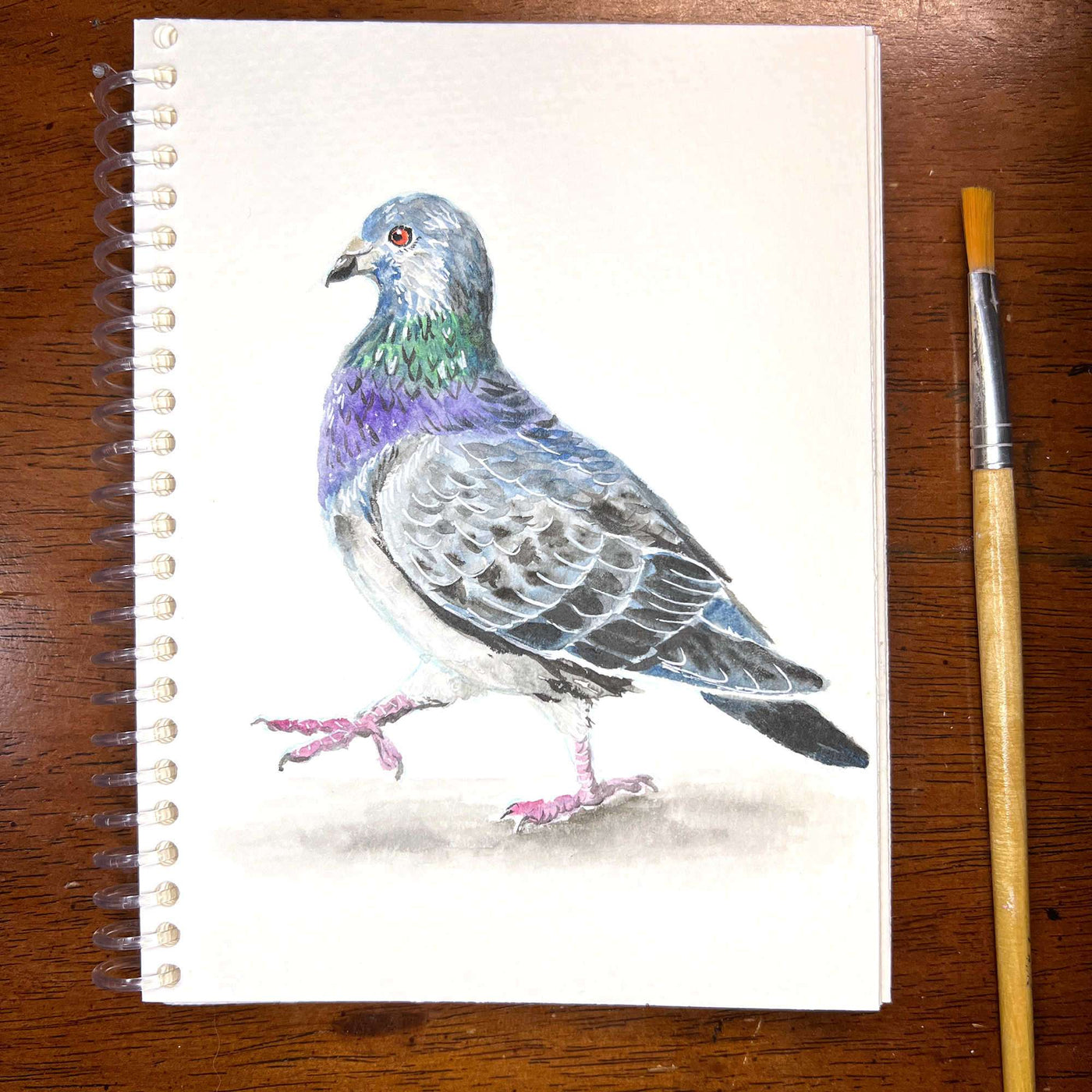 Pigeon/Rooster - Original Watercolor Painting of a pigeon in a sketchbook with a paintbrush lying next to it on a wooden table.
