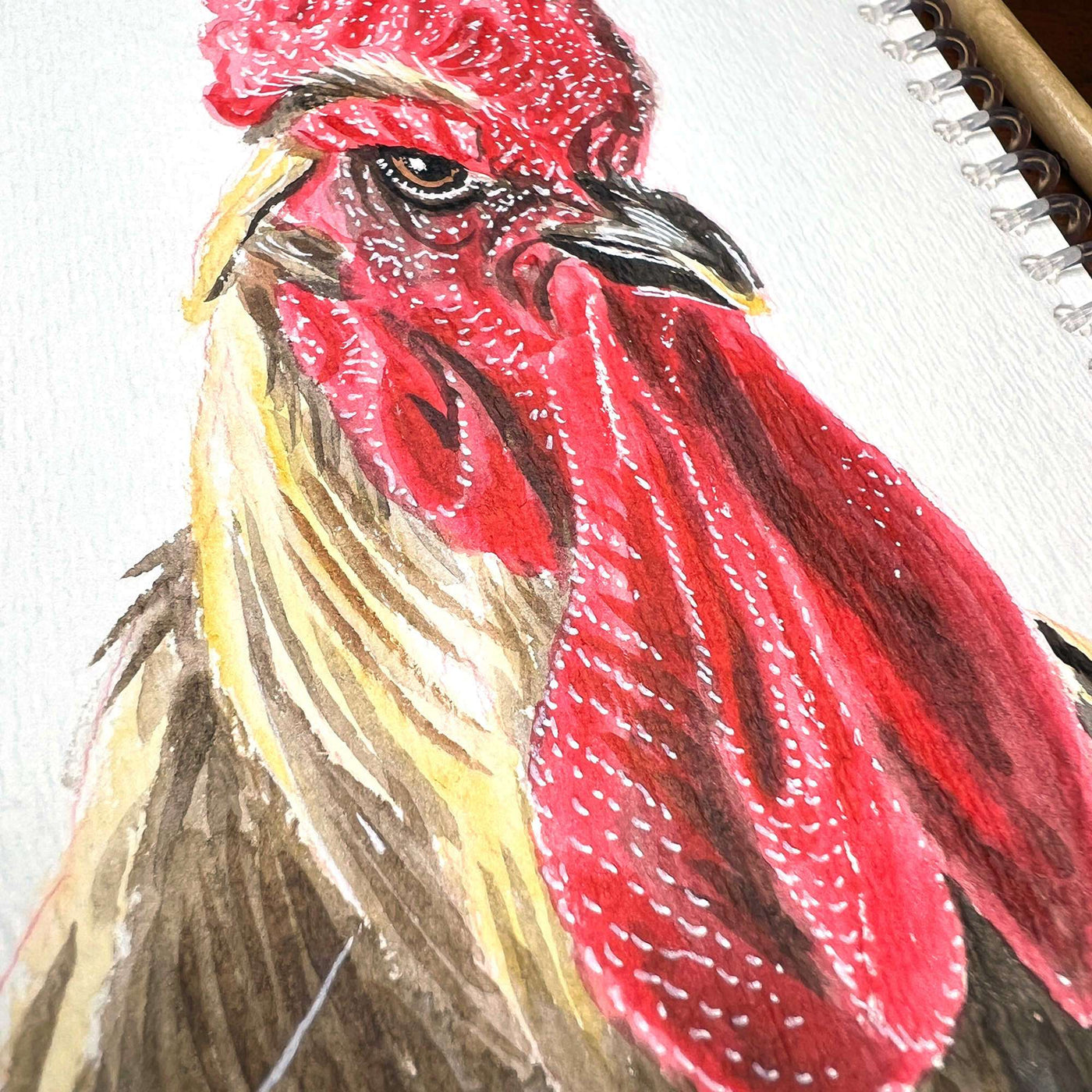 Pigeon/Rooster - Original Watercolor Painting of a rooster with detailed red combs and wattles, focusing on its head and neck, displayed on a sketchpad.