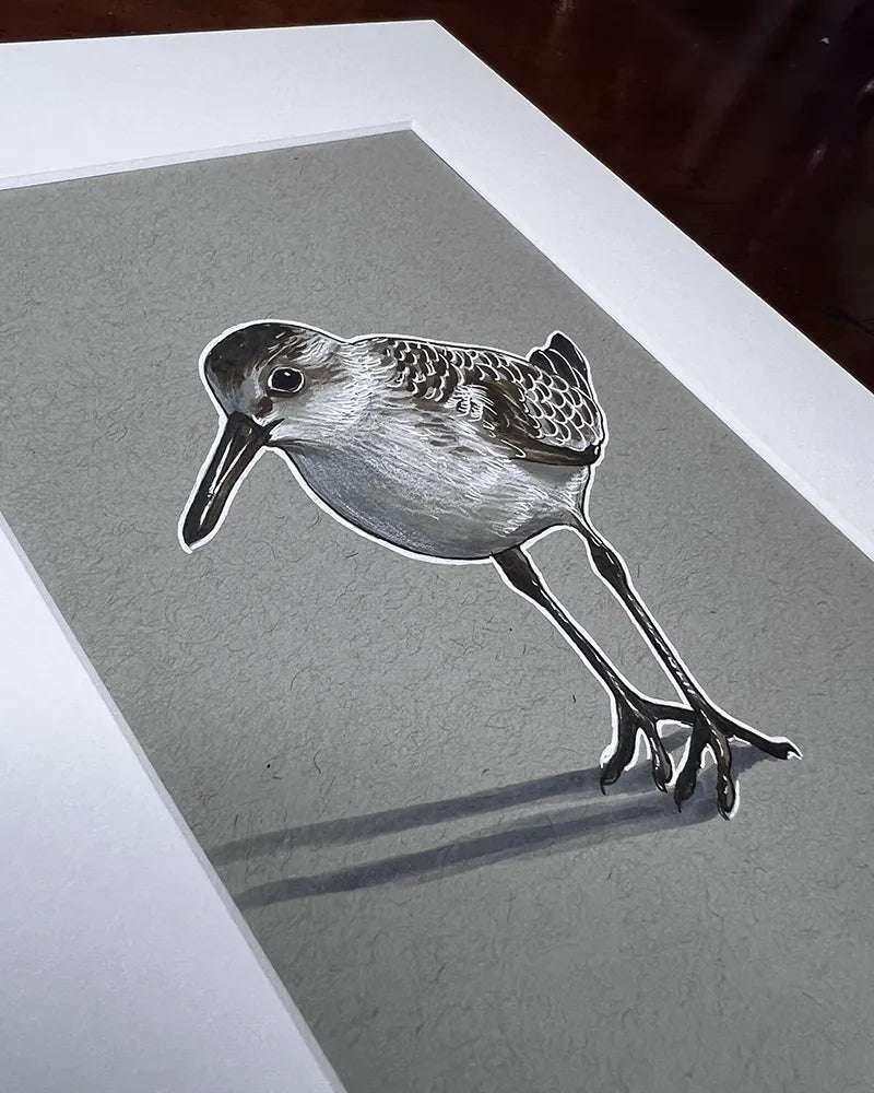 Detailed drawing of a Sandpiper - Original Marker Painting bird on textured paper, showcasing intricate shading and realism, positioned on a dark wood surface.