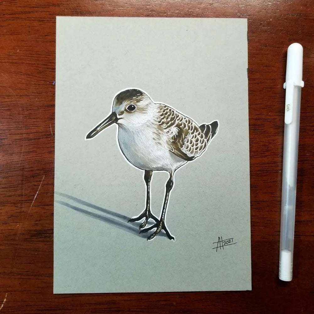 A detailed drawing of a Sandpiper - Original Marker Painting on tan paper beside a white pen, showcasing intricate feather shading and accurate proportions.