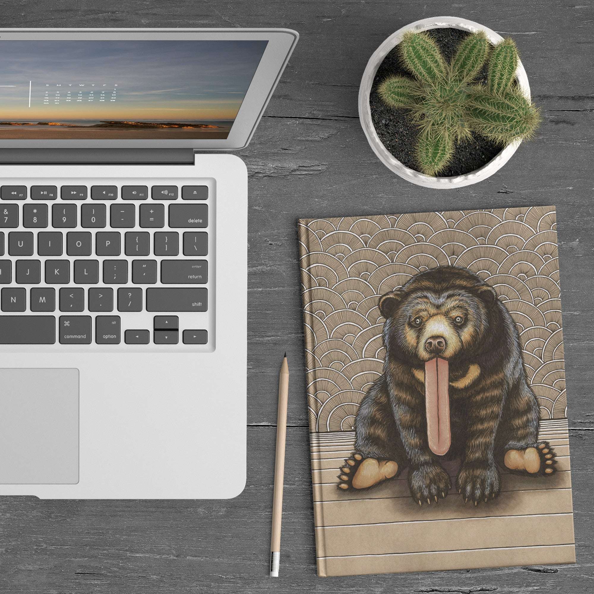 A laptop, Sun Bear Journal, pencil, and a potted cactus on a wooden desk.