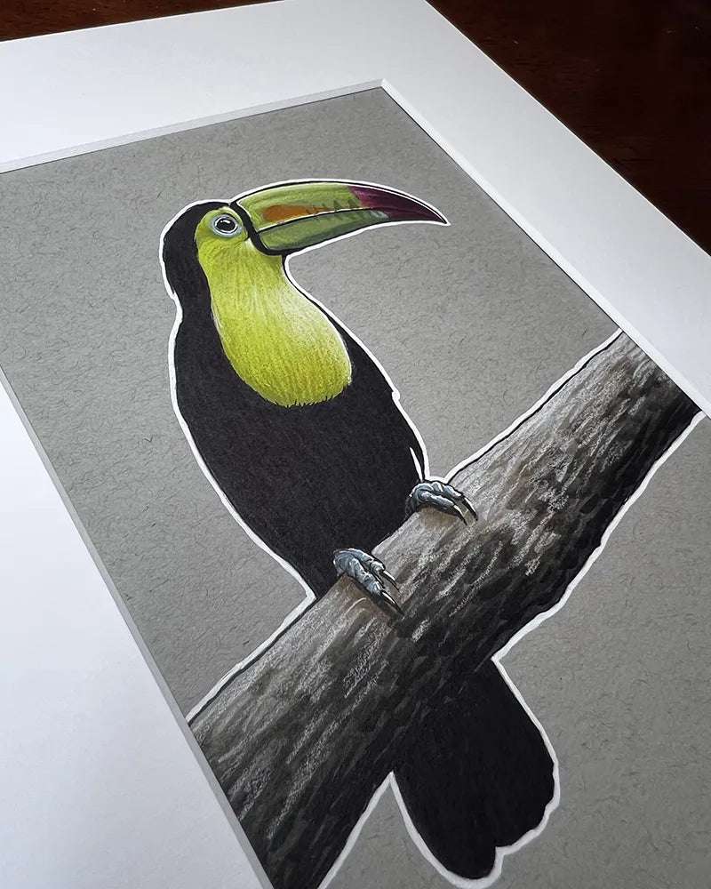 Toucan - Original Marker Painting by Amanda Lanford of a toucan perched on a branch, against a grey background, displayed on a wooden surface.