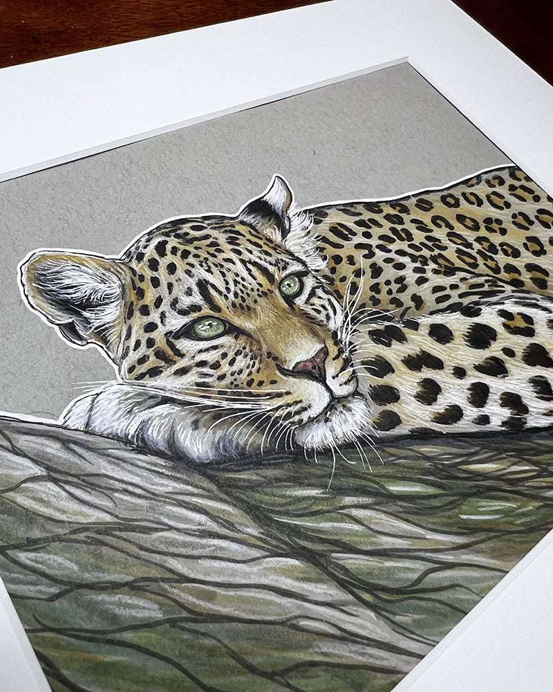 A detailed drawing of Young Leopard with vivid green eyes, resting its head on its front paws, framed and viewed on a wooden surface.