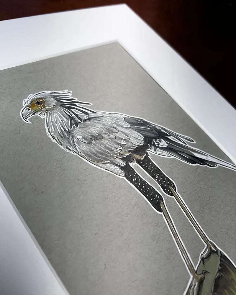 A detailed Secretary Bird - Original Marker Painting with focus on its textured feathers and intense gaze, matted and displayed at an angle