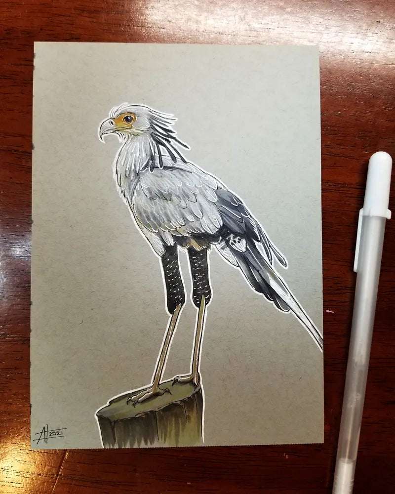 Marker and Pen Illustration of a Secretary Bird perched on a stump, drawn on beige paper with a white pen beside it, signed by the artist.