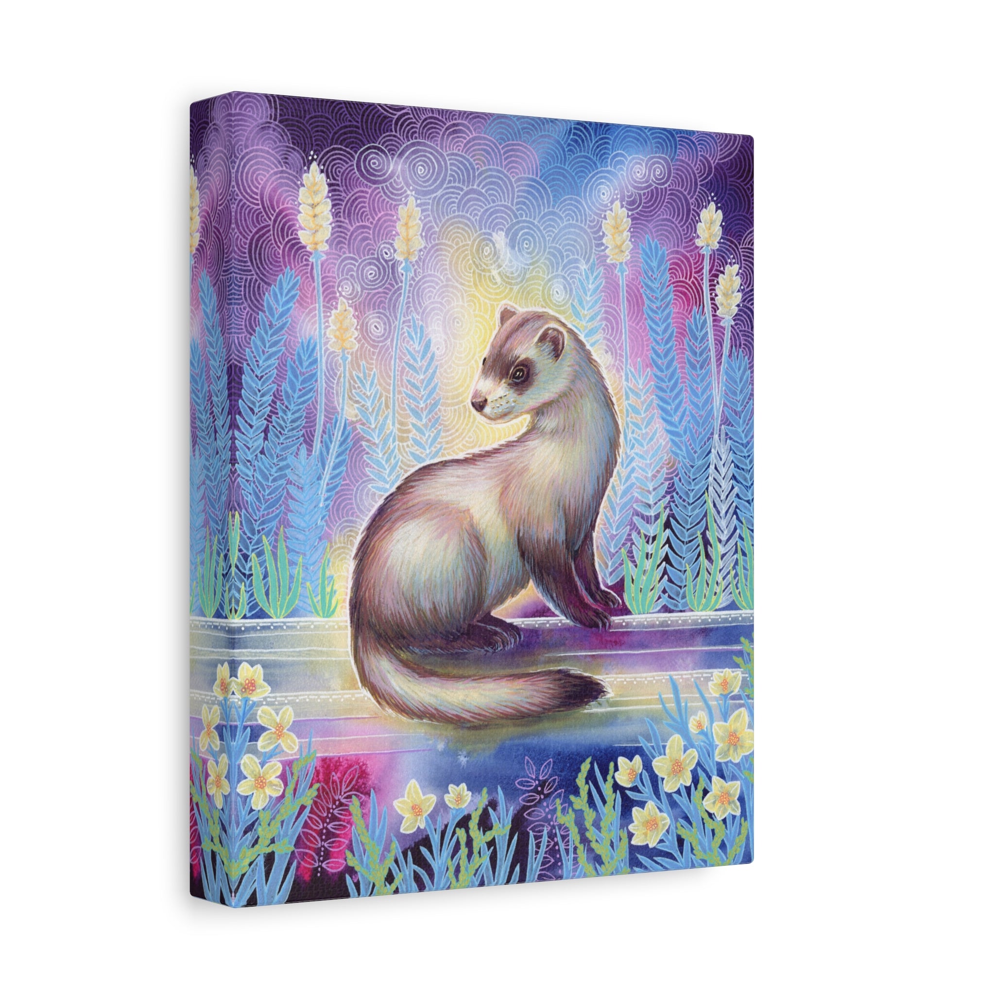 Ferret Canvas Print