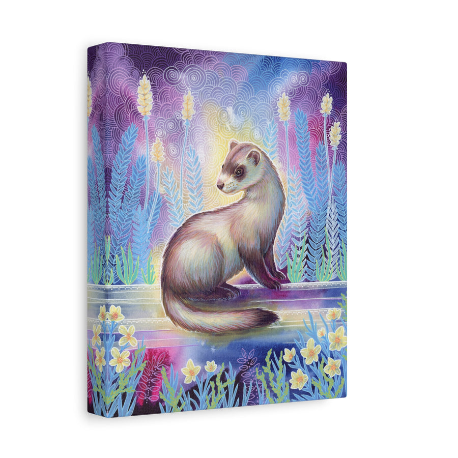 Ferret Canvas Print