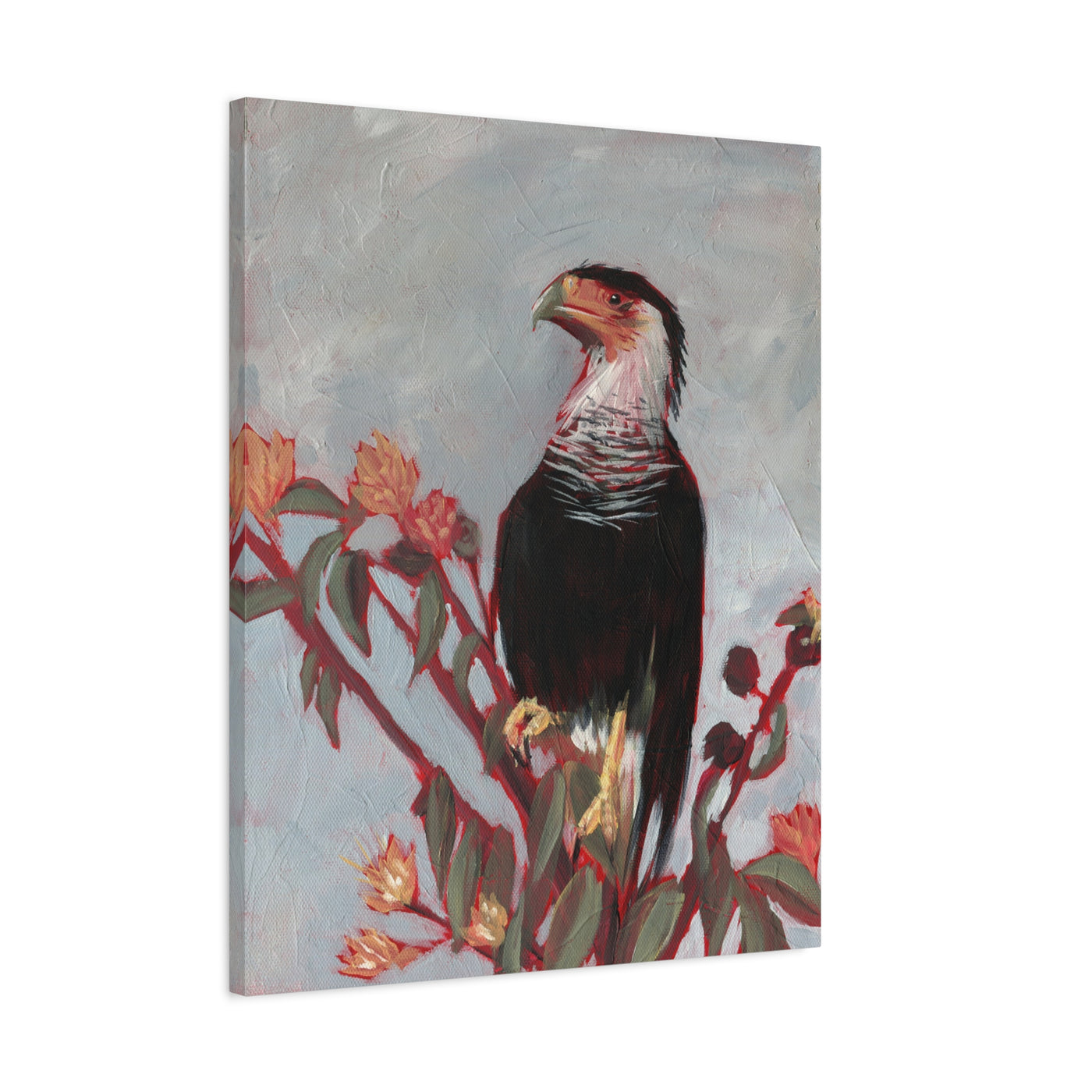 Crested Caracara Print