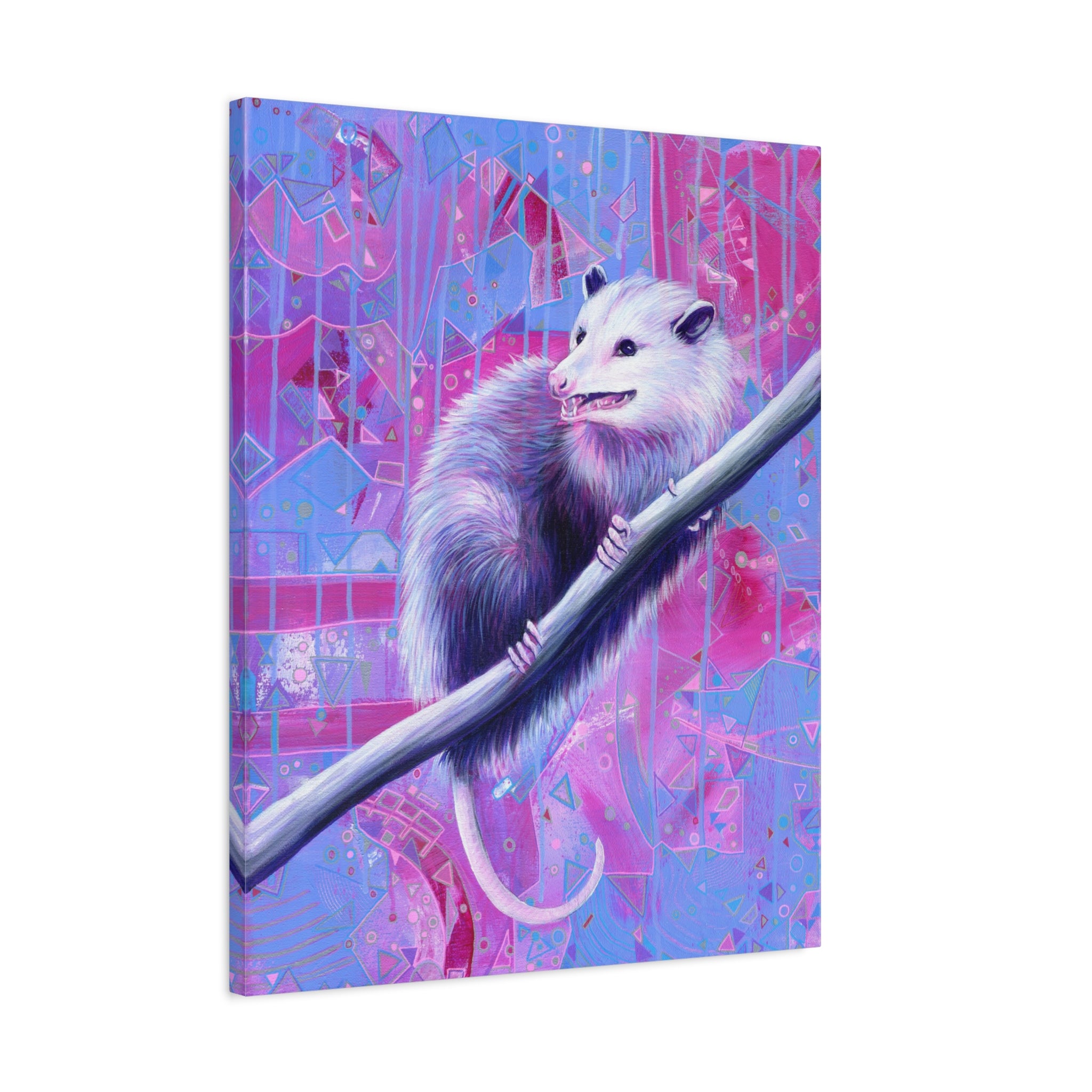 The Opossum Canvas Print