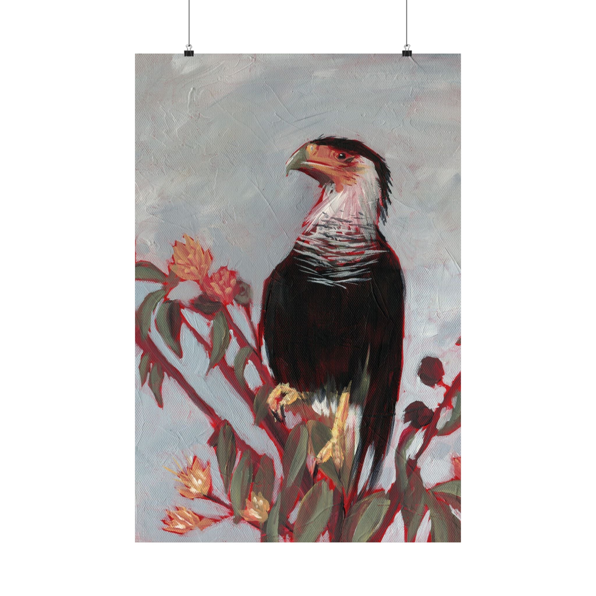 Crested Caracara Poster Print