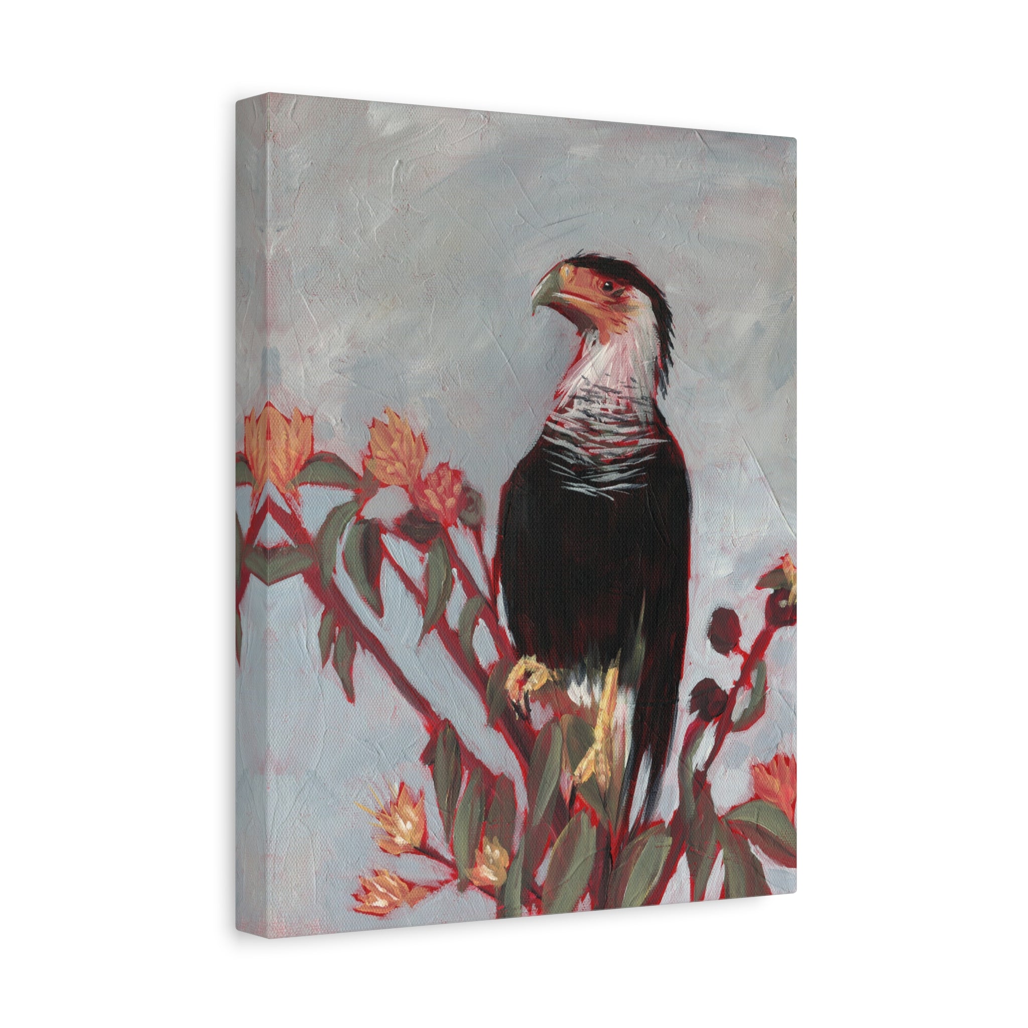 Crested Caracara Print