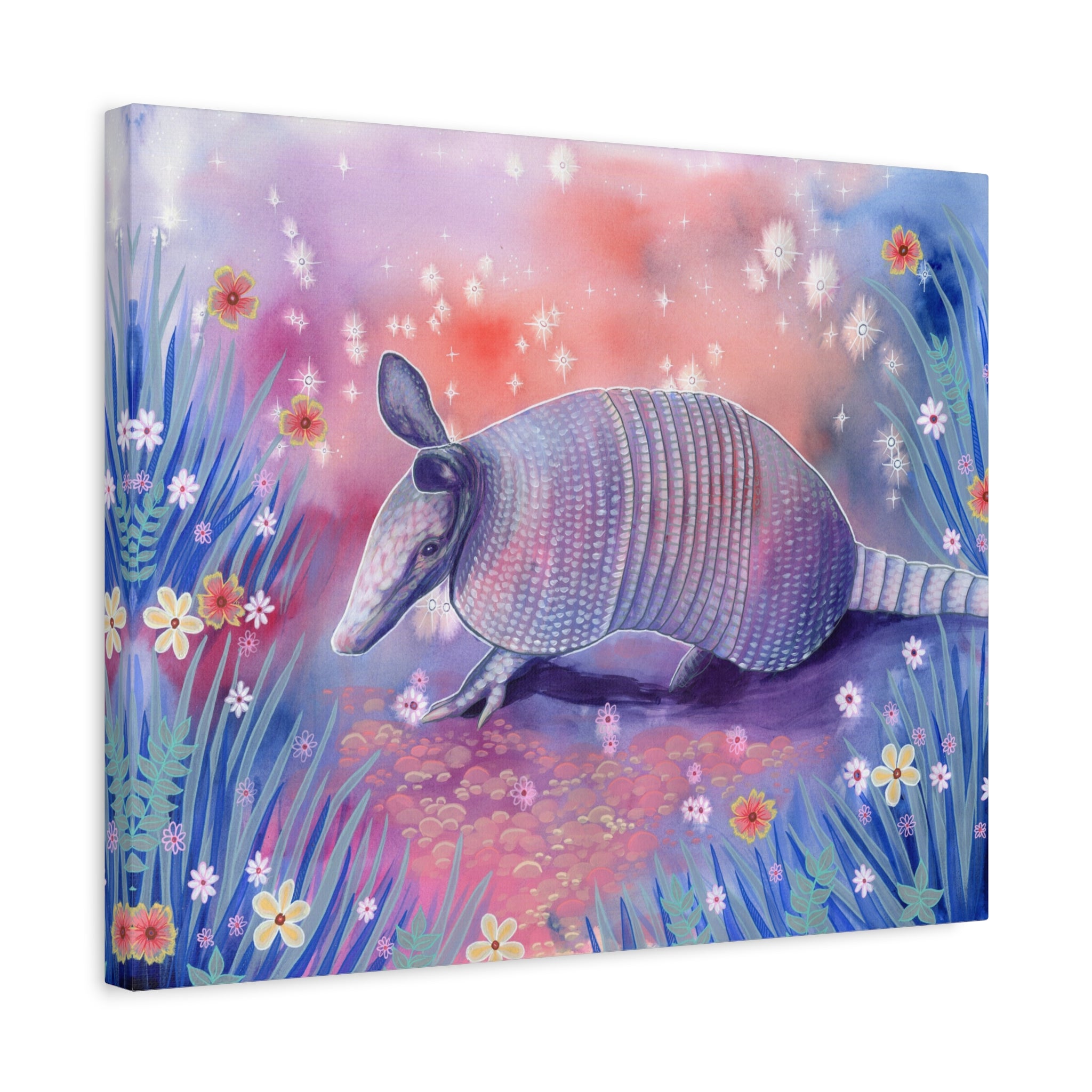 Armadillo Canvas Print