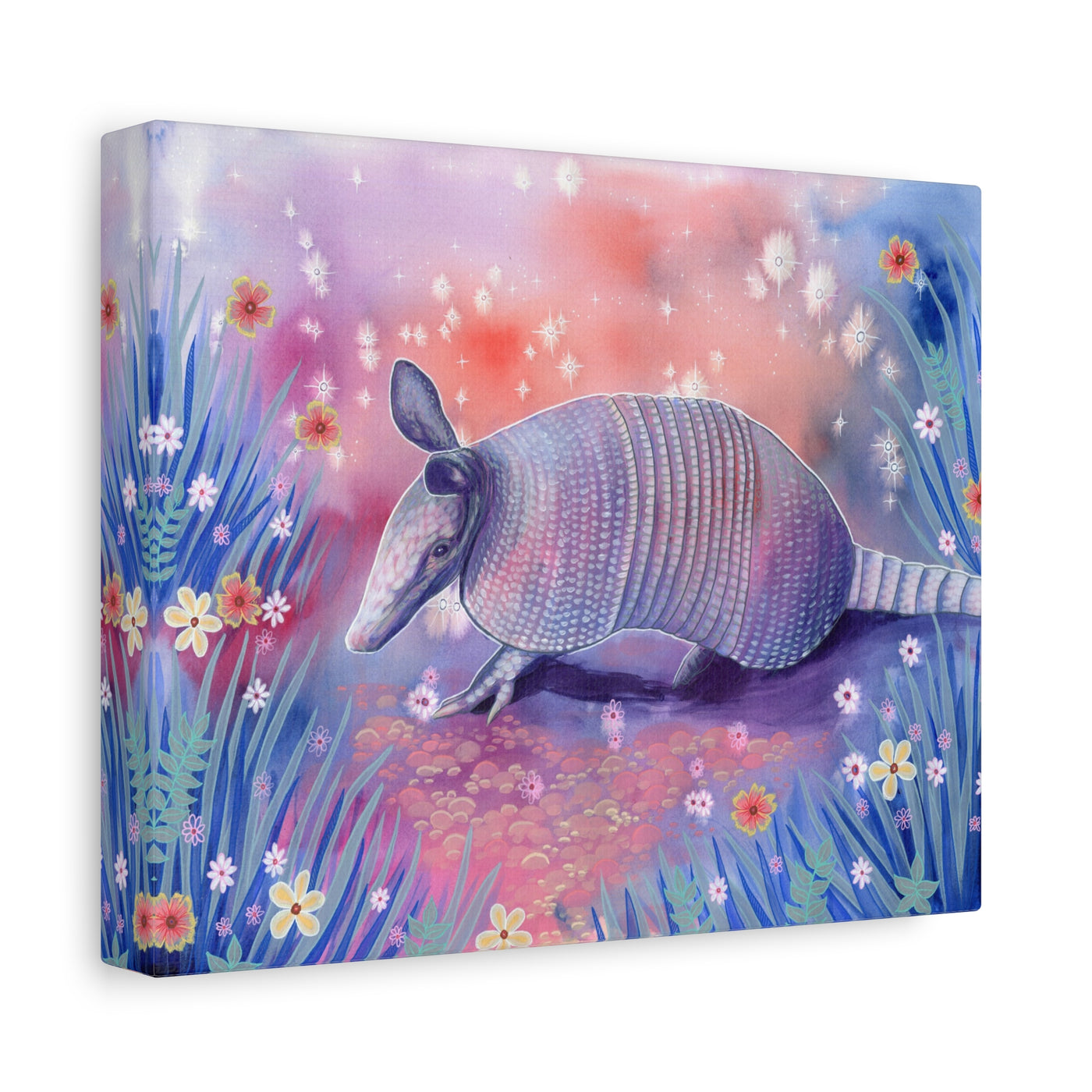Armadillo Canvas Print