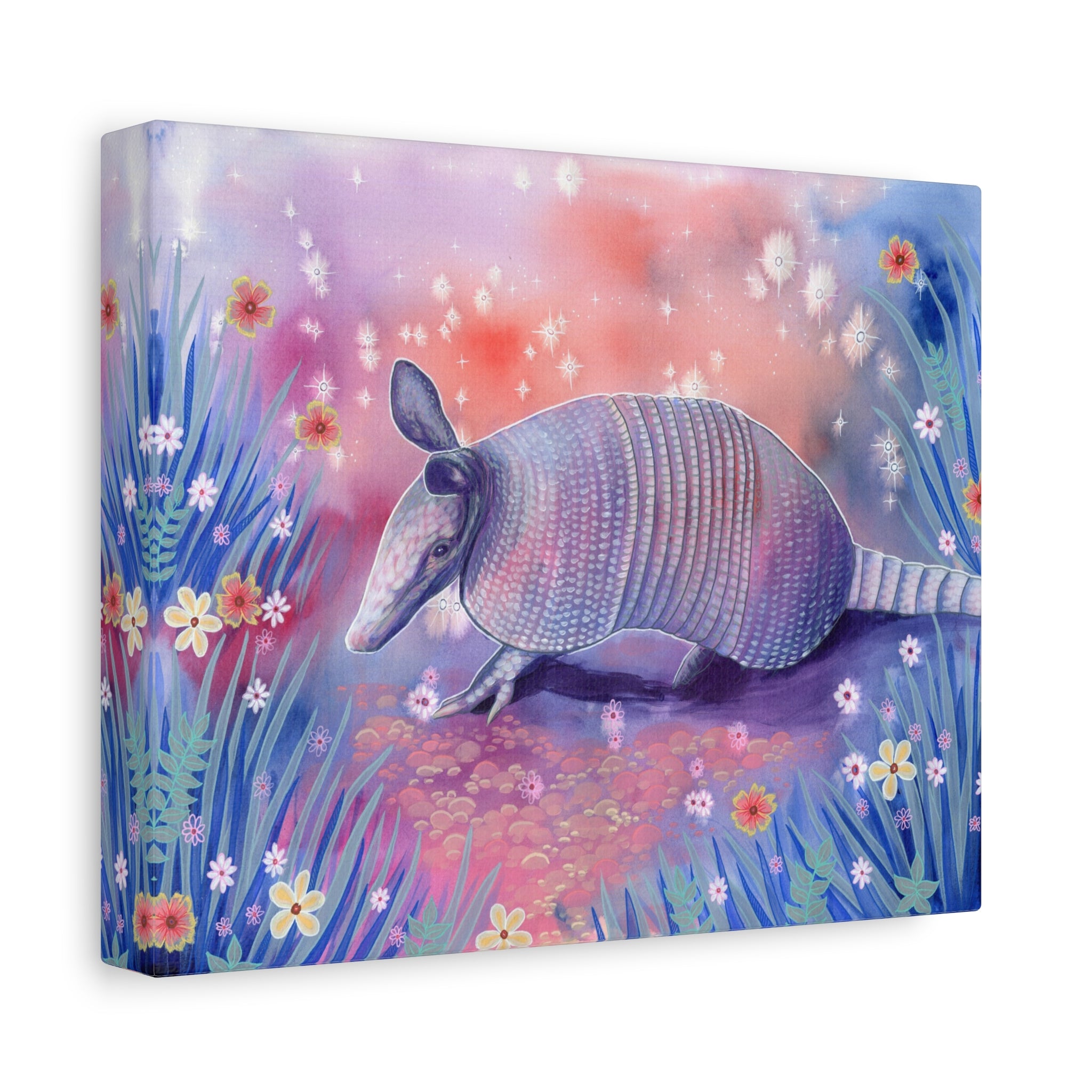 Armadillo Canvas Print