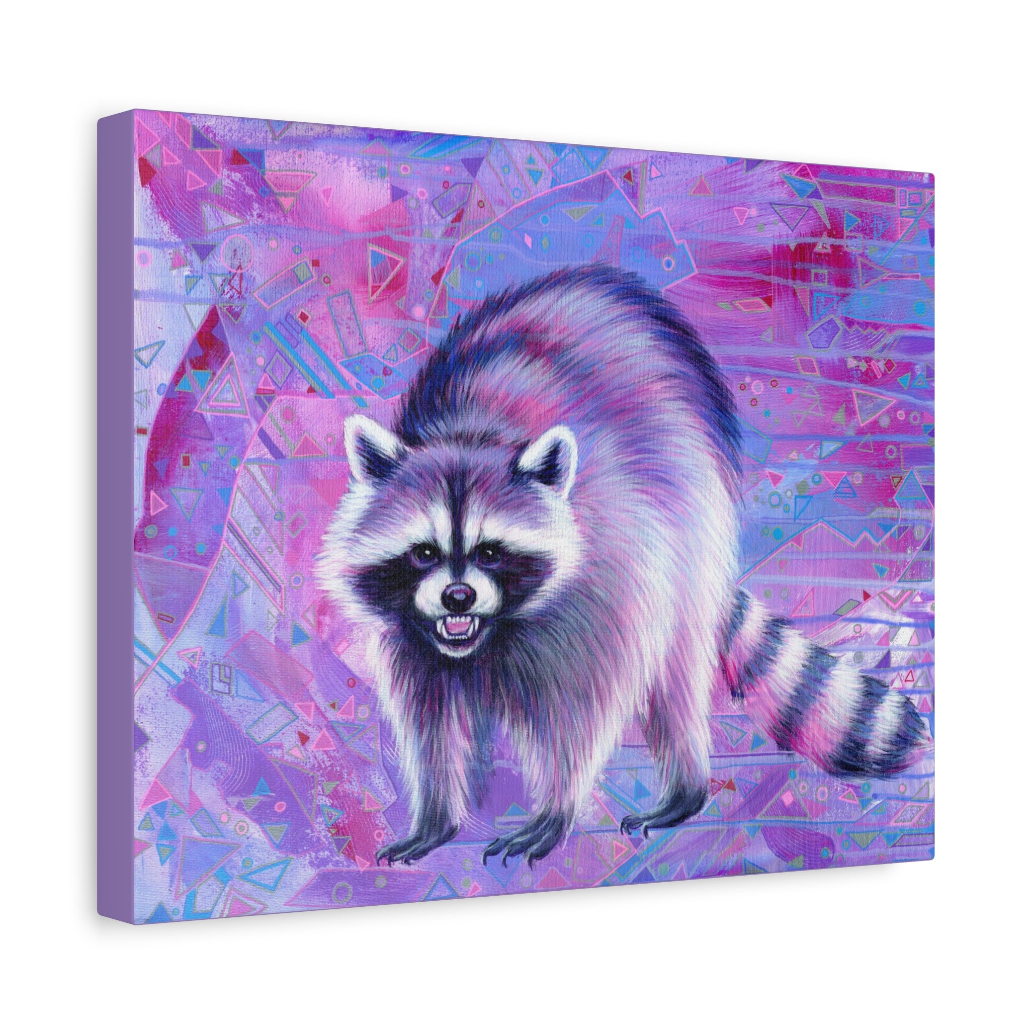 The Raccoon Canvas Print