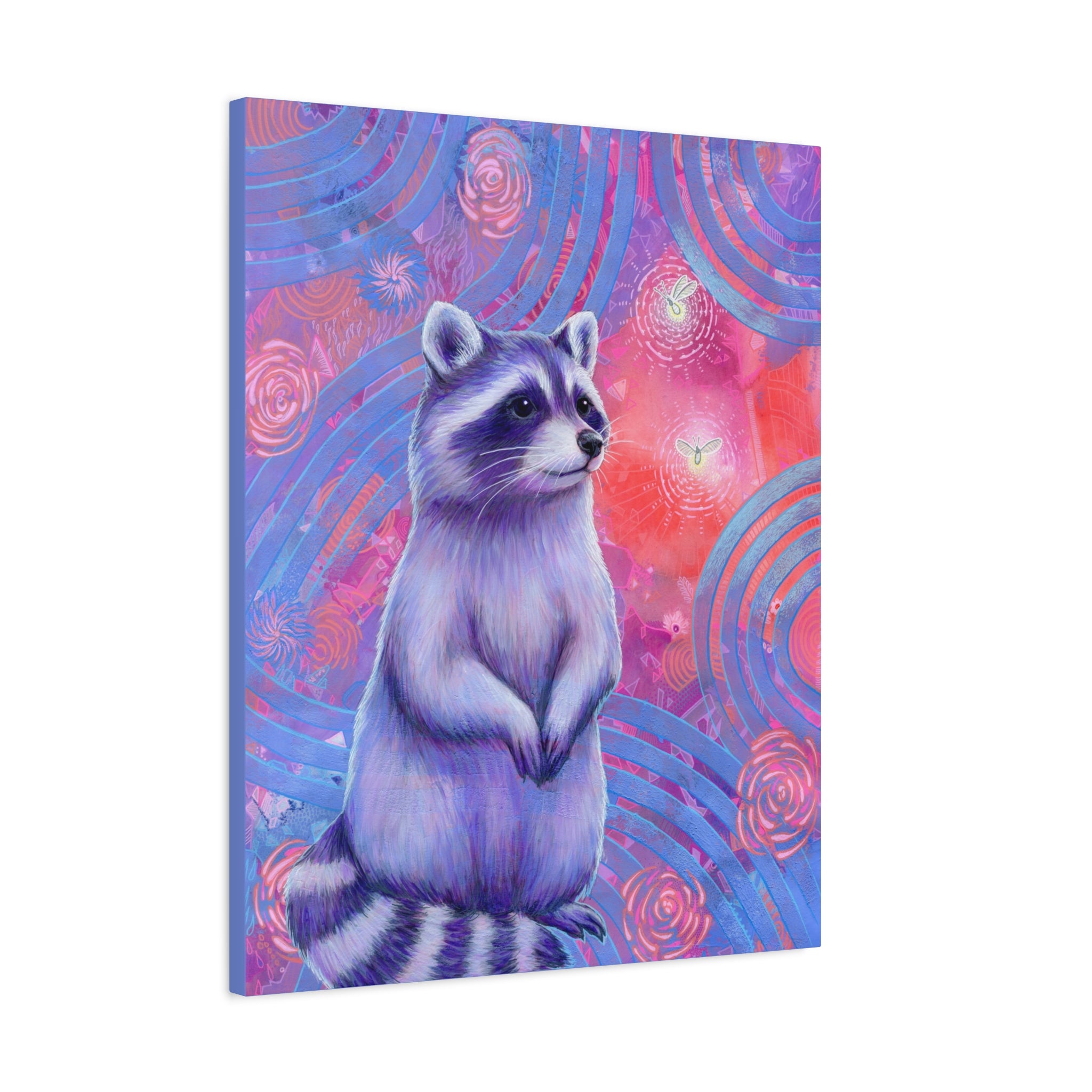 Curious Raccoon Canvas Print
