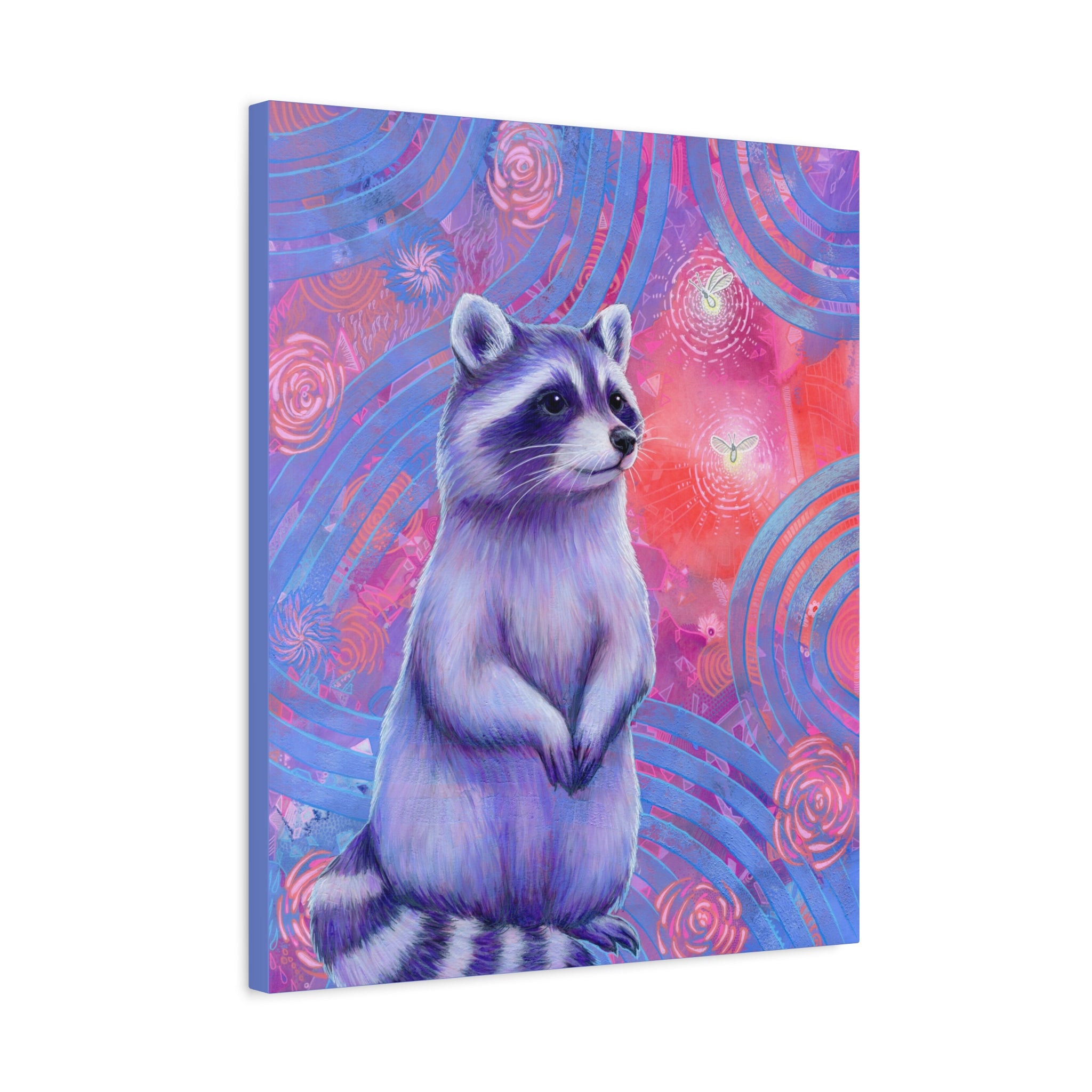 Curious Raccoon Canvas Print