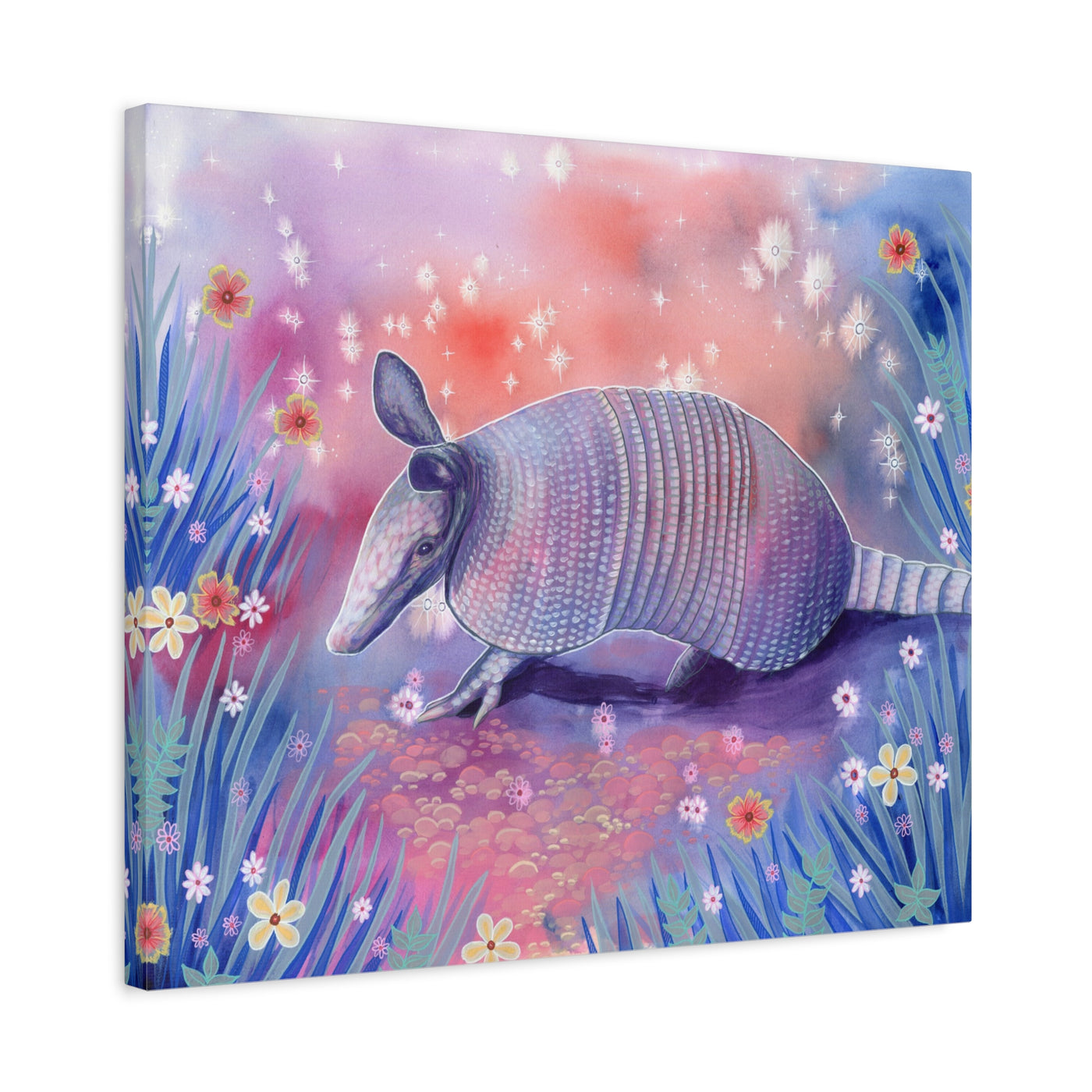 Armadillo Canvas Print